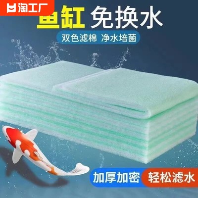 网络爆款鱼缸 从智能生态到家居美学的消费新潮流