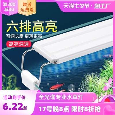 探秘网购热潮下的流行鱼缸 小世界中的大乐趣